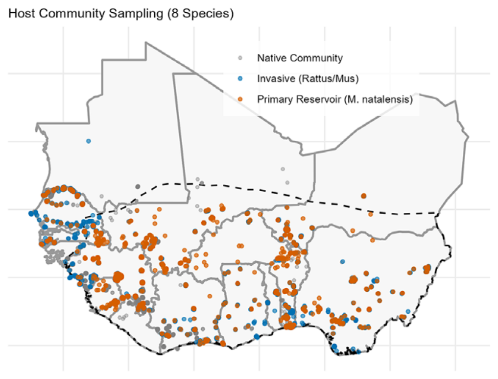 Small-mammal trapping locations across West Africa: Mastomys natalensis, invasive Rattus and Mus, and the native community.
